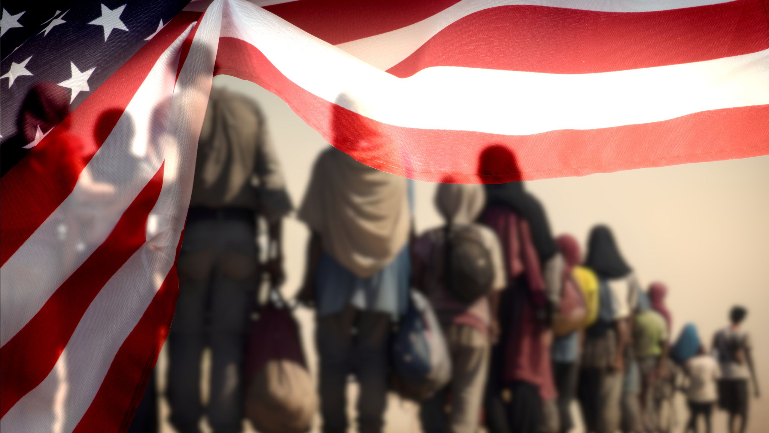 Asylum · Protection in the U.S.