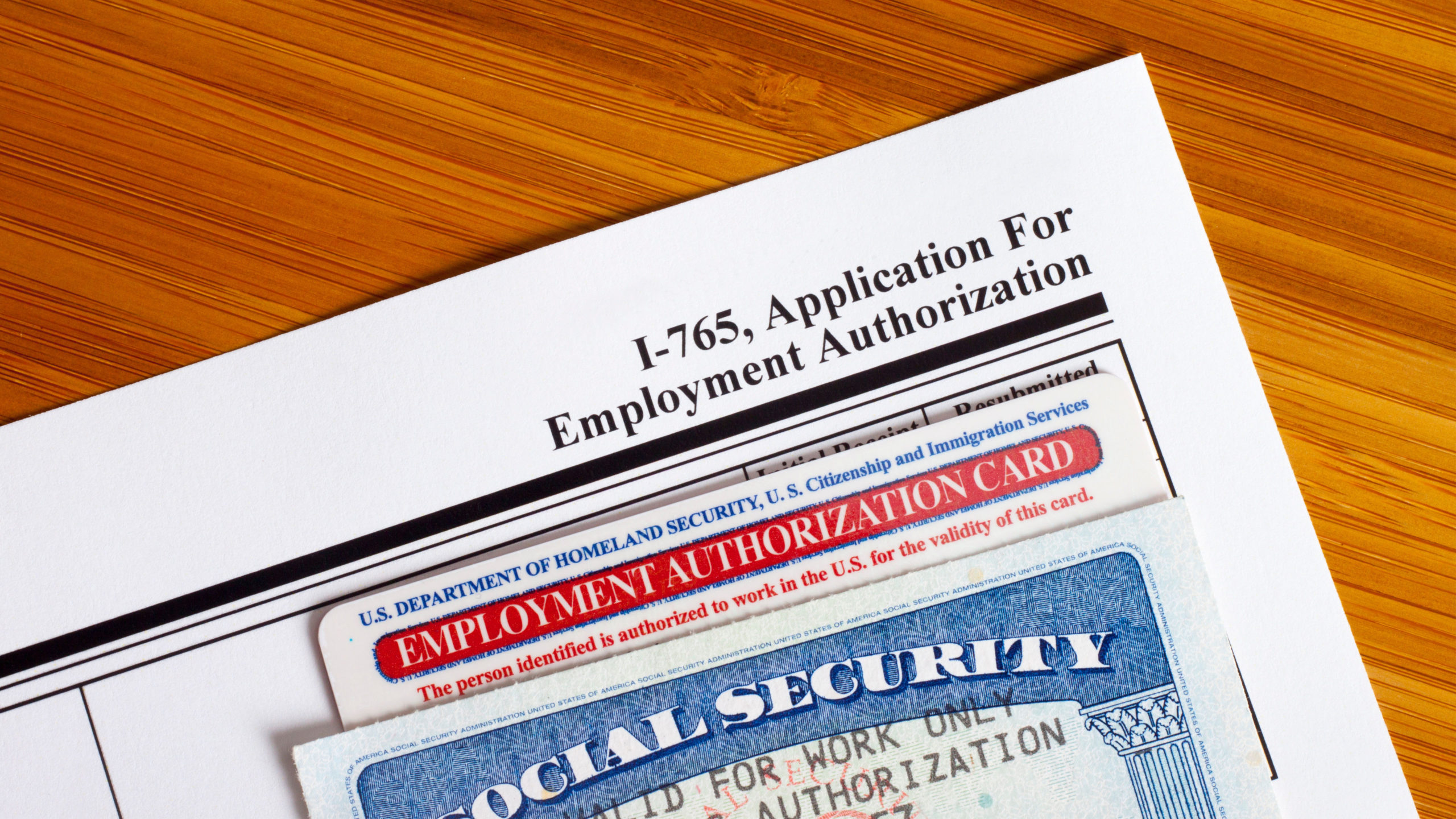 Work Authorization · Employment Authorization Document